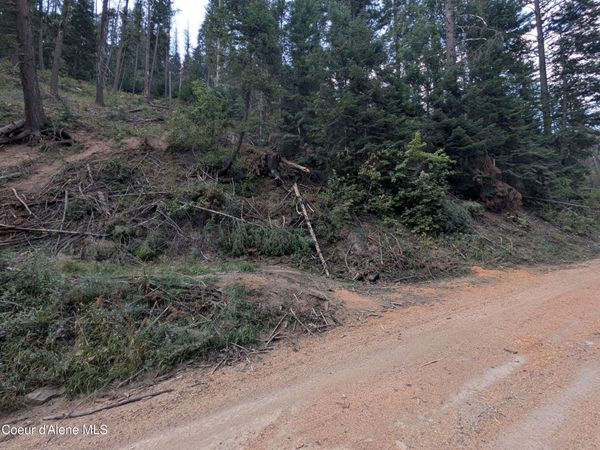 NNA 20.02a Daisy Gulch RD, Mullan, ID 83846