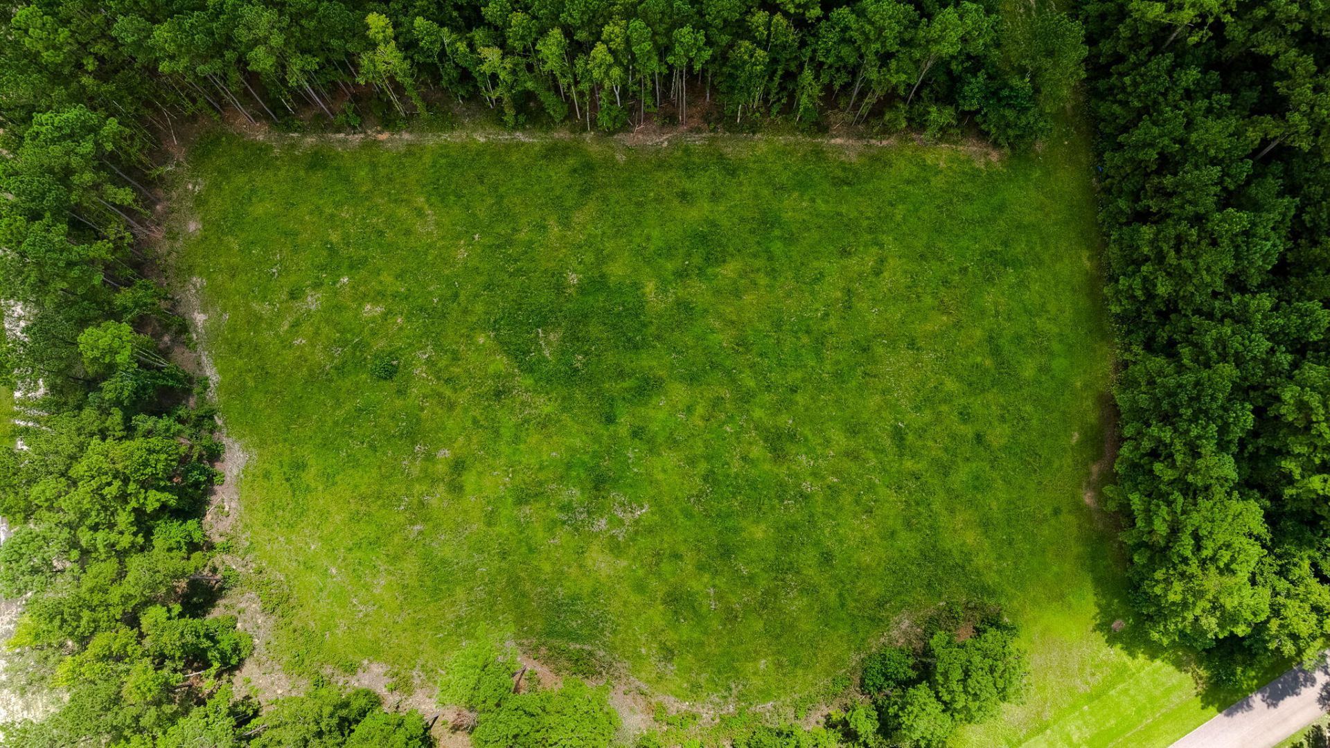 18 Bradley Pasture Way Photo 13
