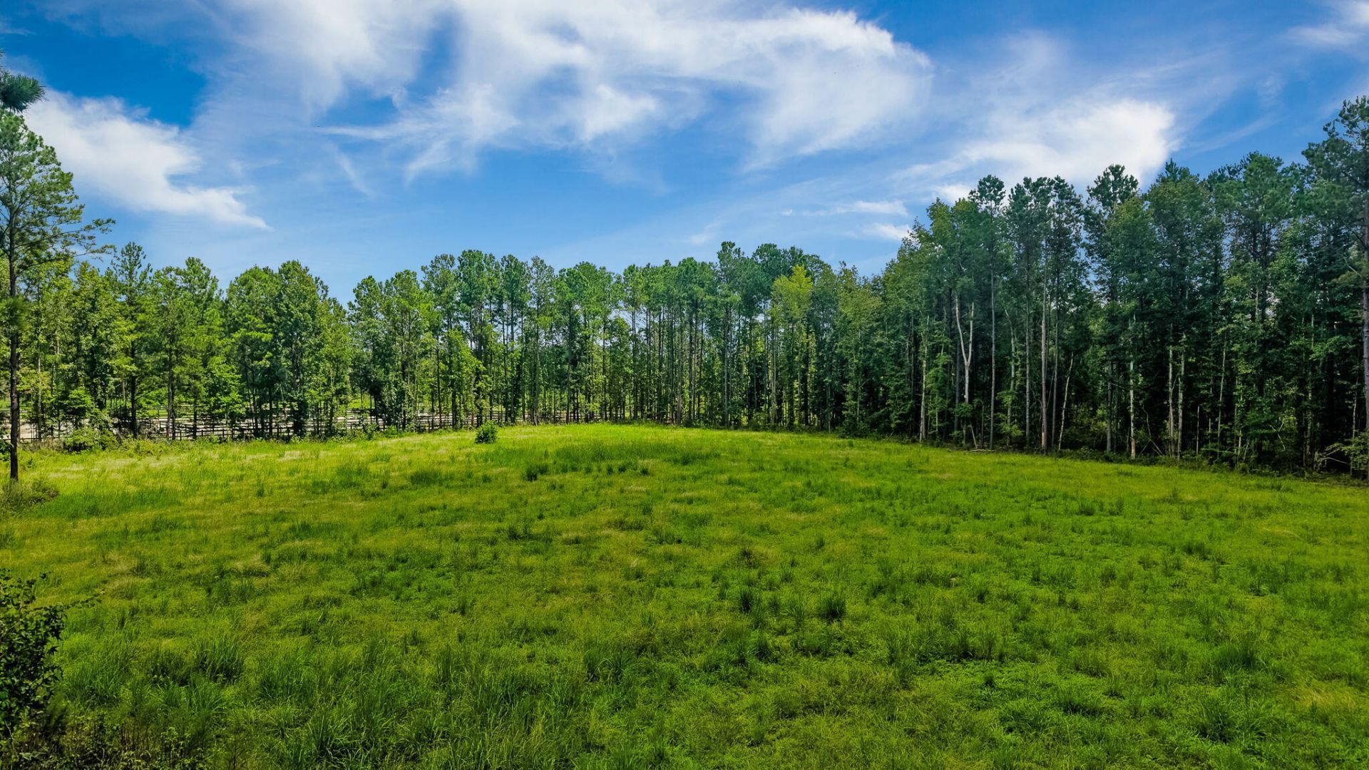 18 Bradley Pasture Way Photo 16