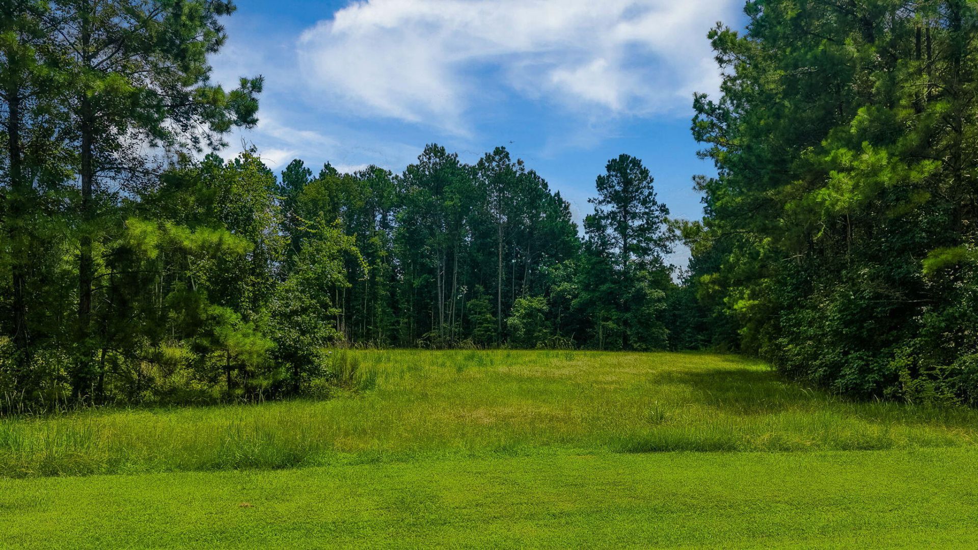 18 Bradley Pasture Way Photo 17
