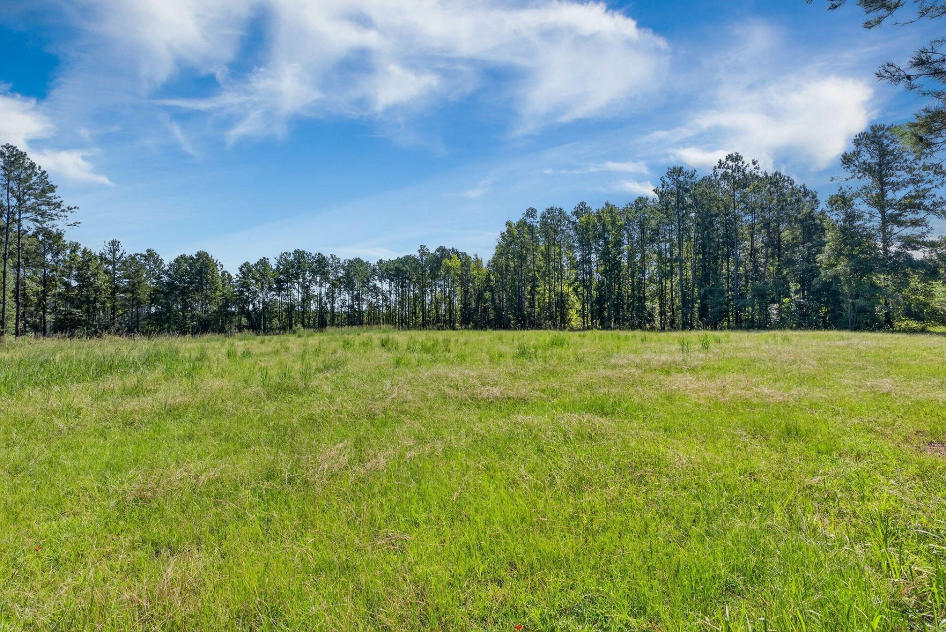 18 Bradley Pasture Way Photo 20