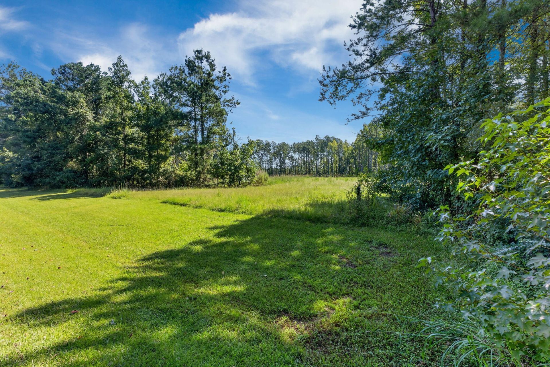 18 Bradley Pasture Way Photo 21