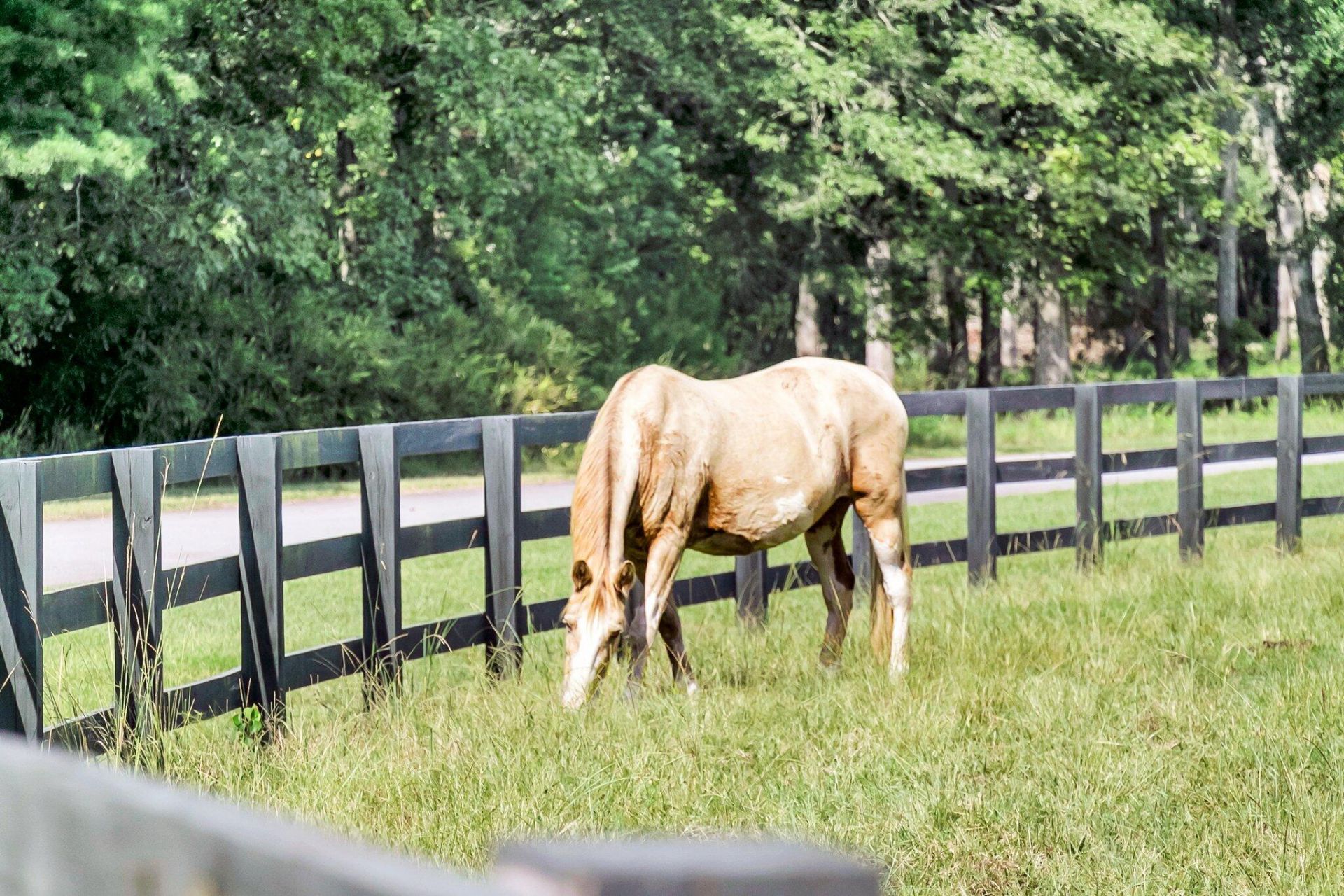 18 Bradley Pasture Way Photo 5