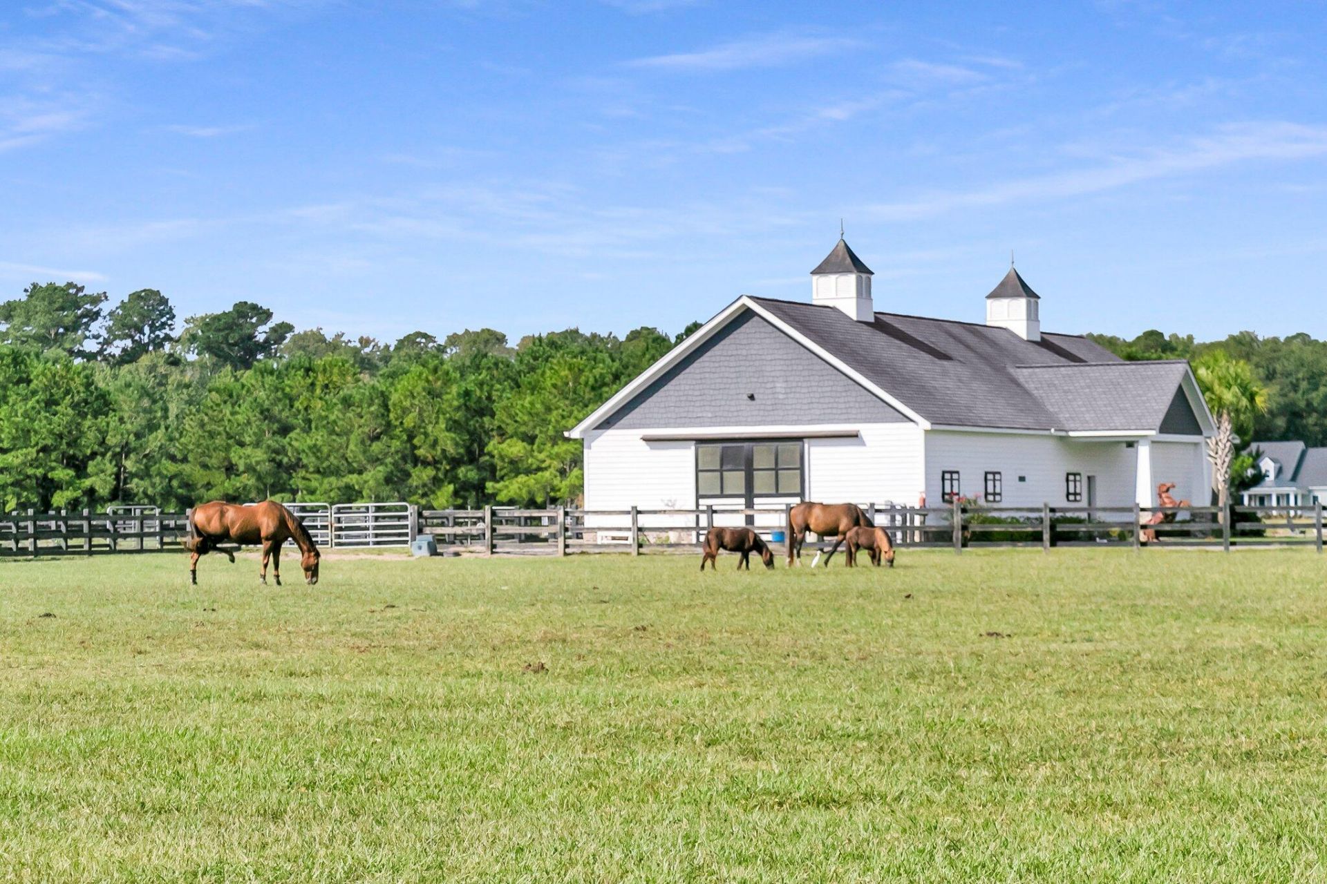 18 Bradley Pasture Way Photo 8
