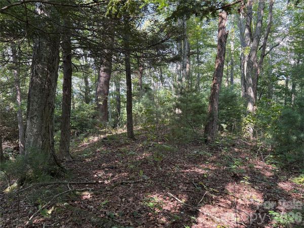00 Early Frost Place , Waynesville, NC 28785