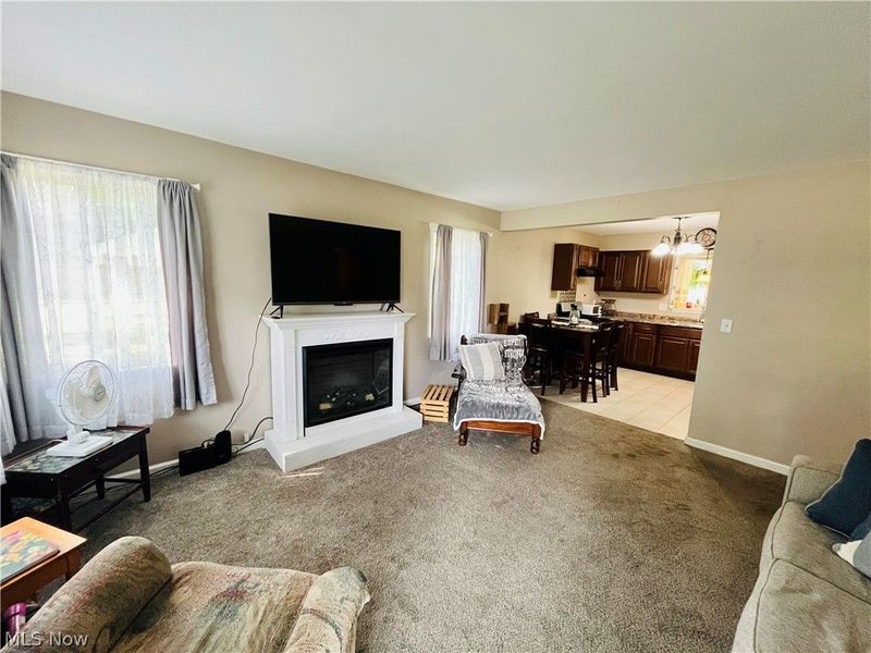 1015 Union Avenue, Ashtabula, OH 44003 Photo 3