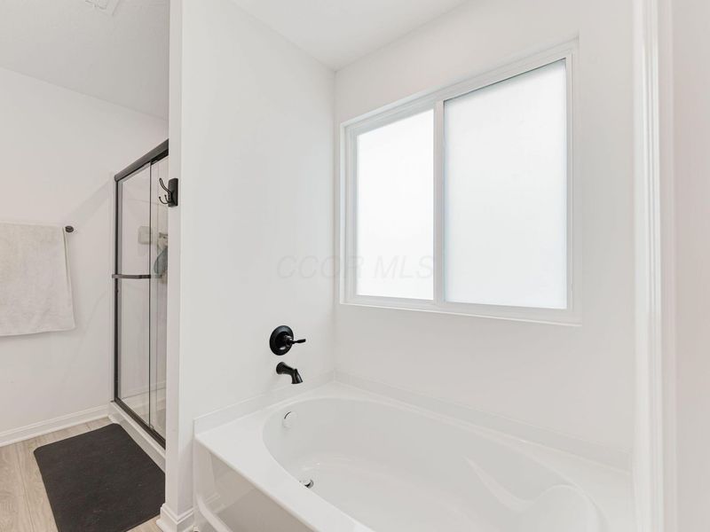 1017 Queen Bee Place, Grove City, OH 43123 Photo 49
