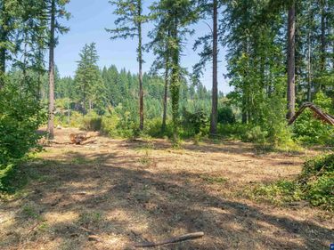 Lot 1101 Santiam Park Rd SE, Lyons, OR 97358
