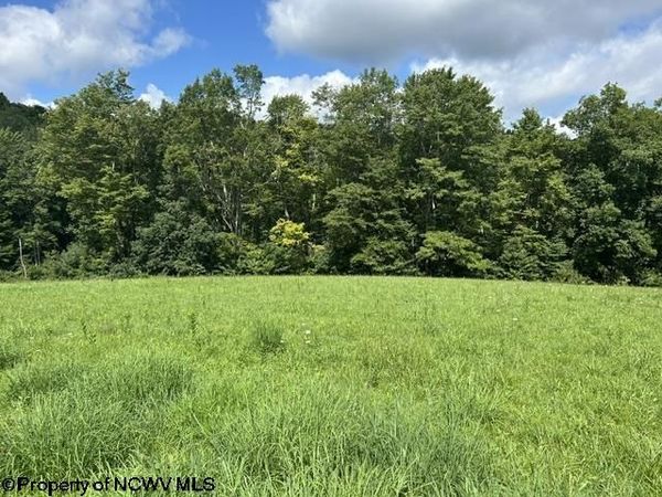 Long Run Road, Tallmansville, WV 26237