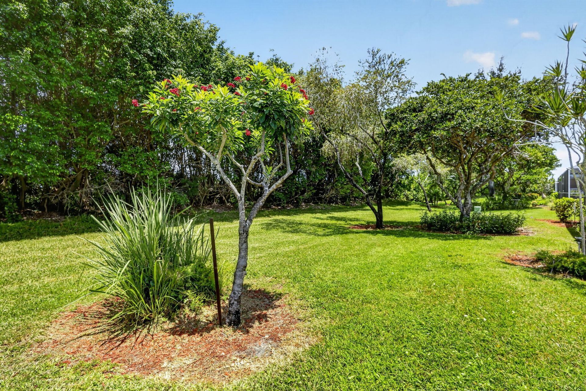 7223 Summer Tree Drive, Boynton Beach, FL 33437 Photo