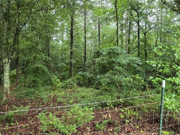 0 Bob Holman Road , Athens, GA 30607