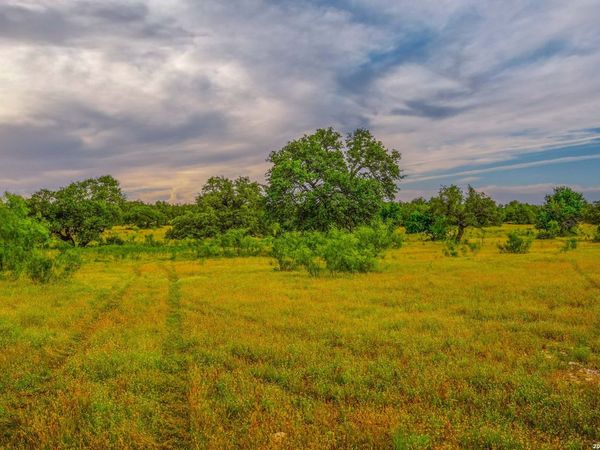 00 Treadwell Ln, Menard, TX 76859