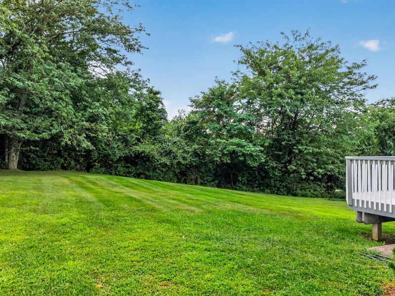 1135 Troopers Crossing, Independence, KY 41051 Photo 11
