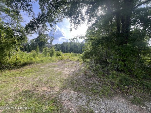 1 Pettey Road, Forest, MS 39074