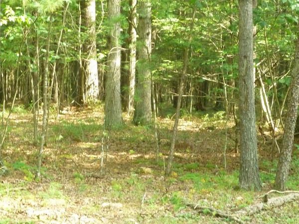 ALUM SPRINGS RD., EDINBURG, VA 22824