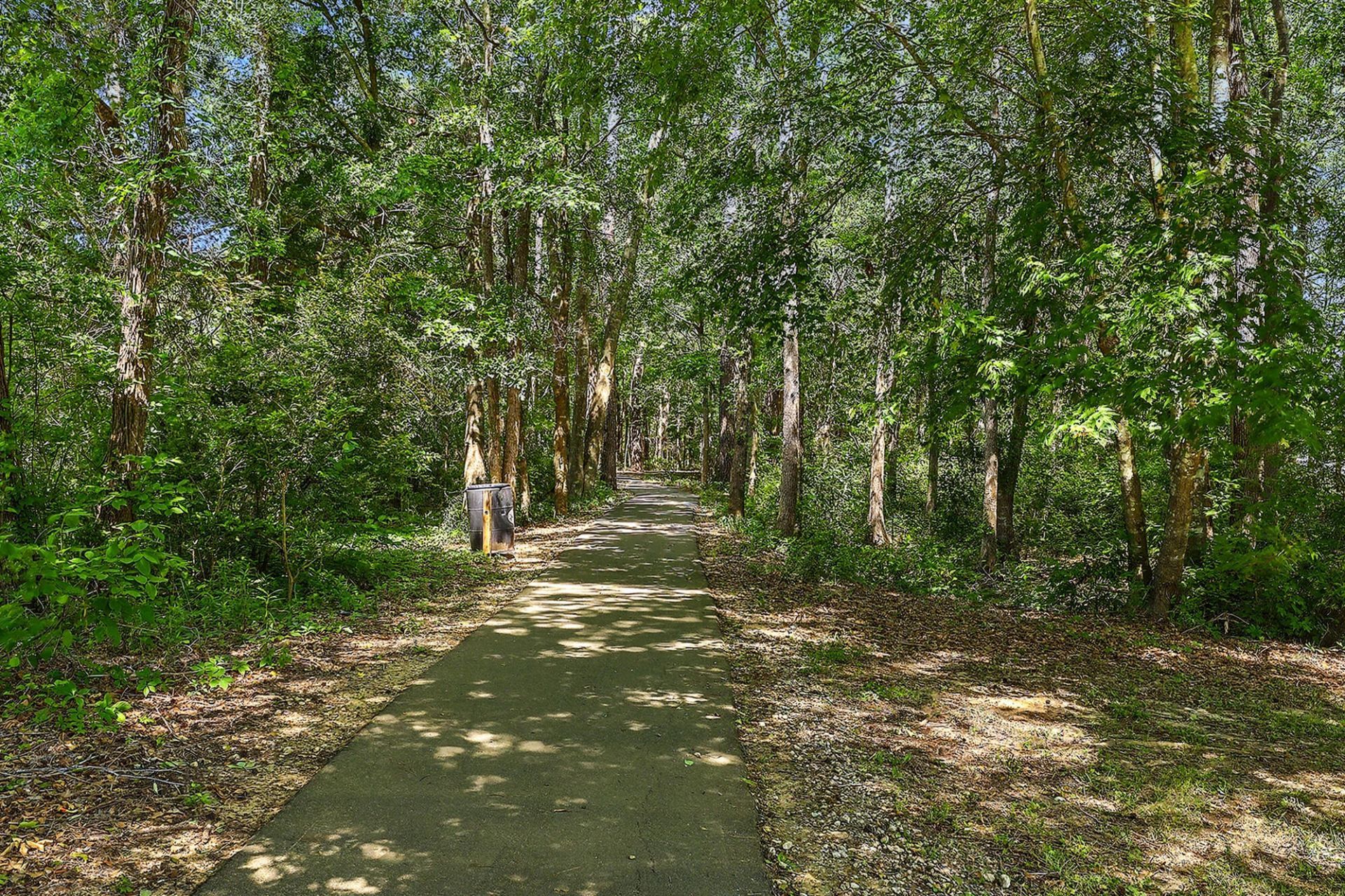 137 Stonehurst Drive Photo 31