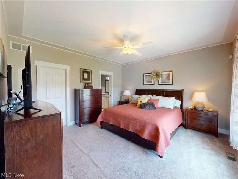13605 Carrington Drive, Grafton, OH 44044 Photo 19
