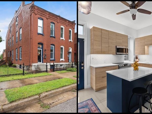 2869 Missouri Avenue, St Louis, MO 63118