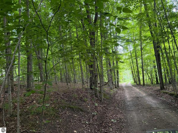 1100 Wangeman Road, East Jordan, MI 49727