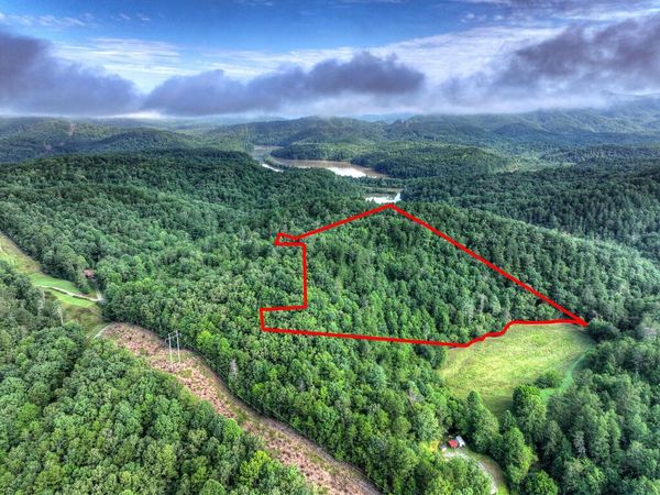 0 Andeburg Hollow Road, Copperhill, TN 37317