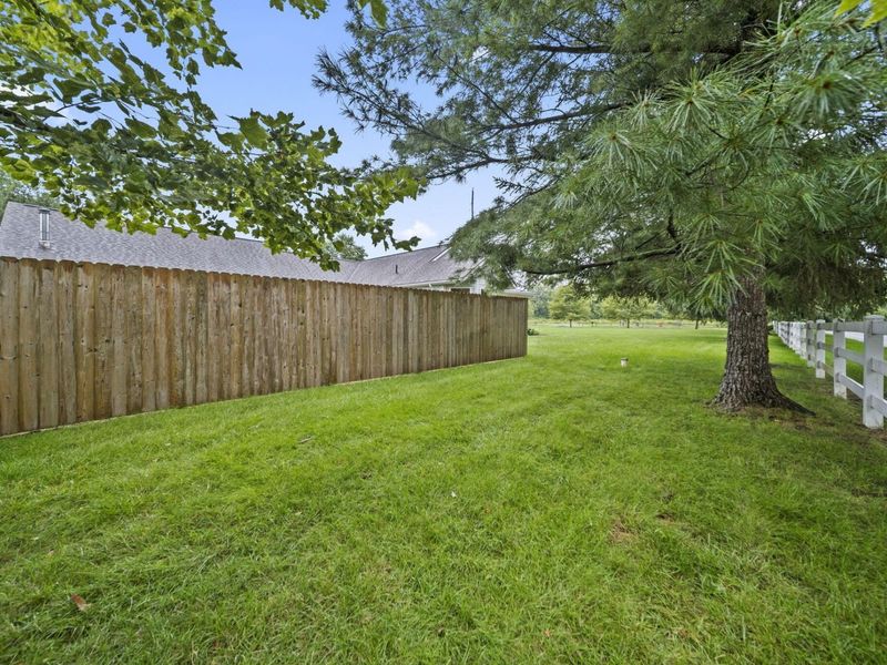 4384 Leppert Road, Hilliard, OH 43026 Photo 71