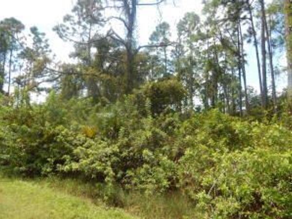 1207 DAYTON Avenue, Lehigh Acres, FL 33972