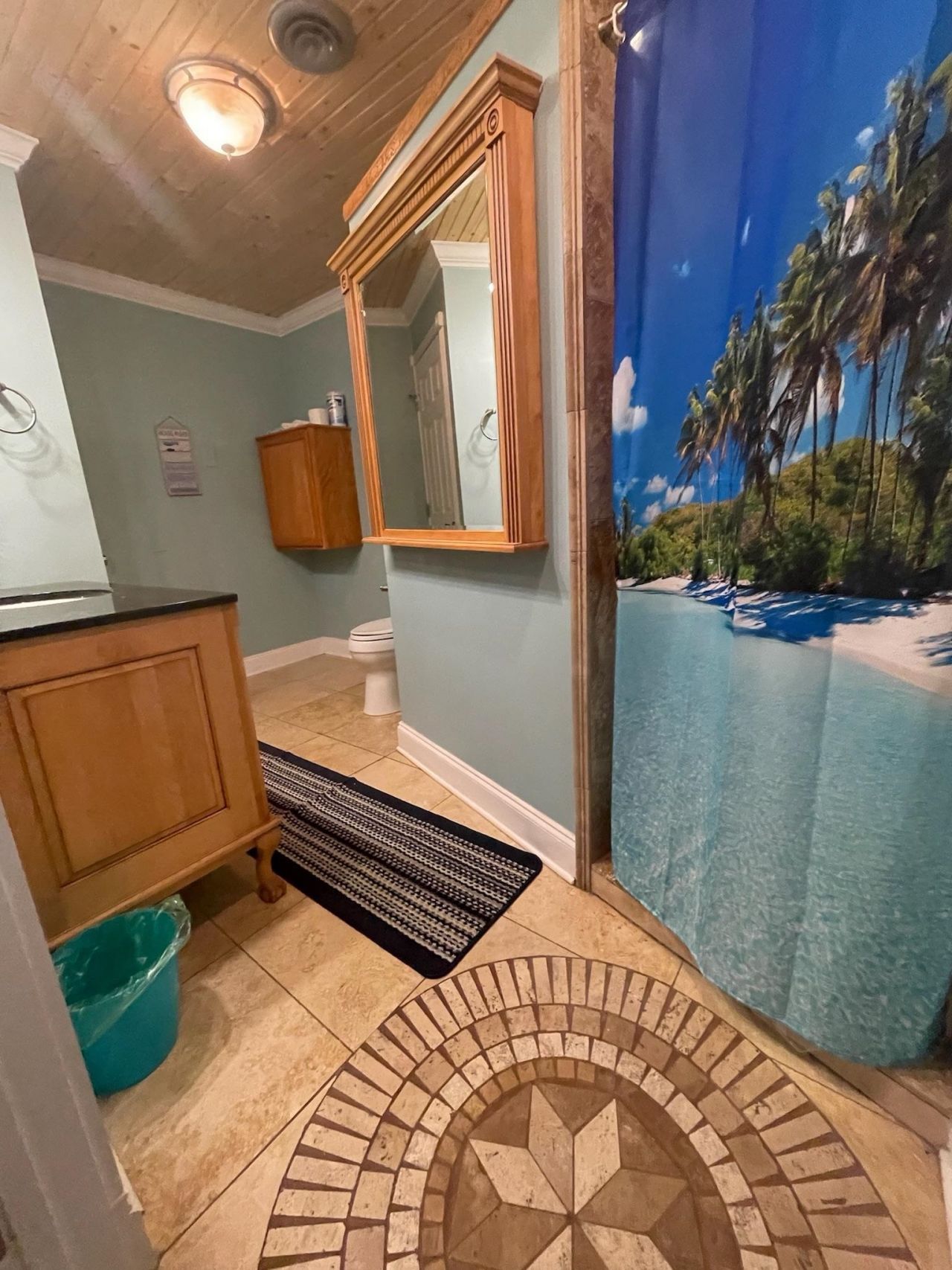 219 Misty Pine Dr. Photo 54