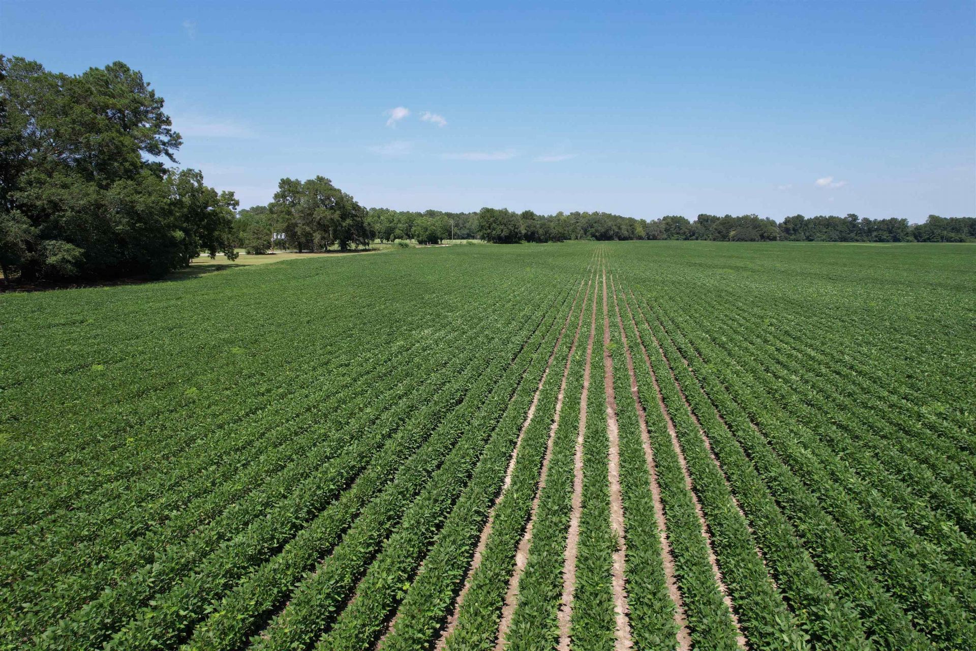 Lot 4 - Sumter Hwy. Photo 1