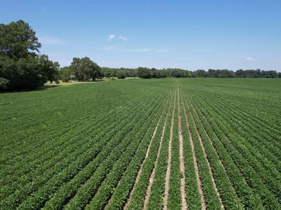 Lot 4 - Sumter Hwy., Kingstree, SC 29556