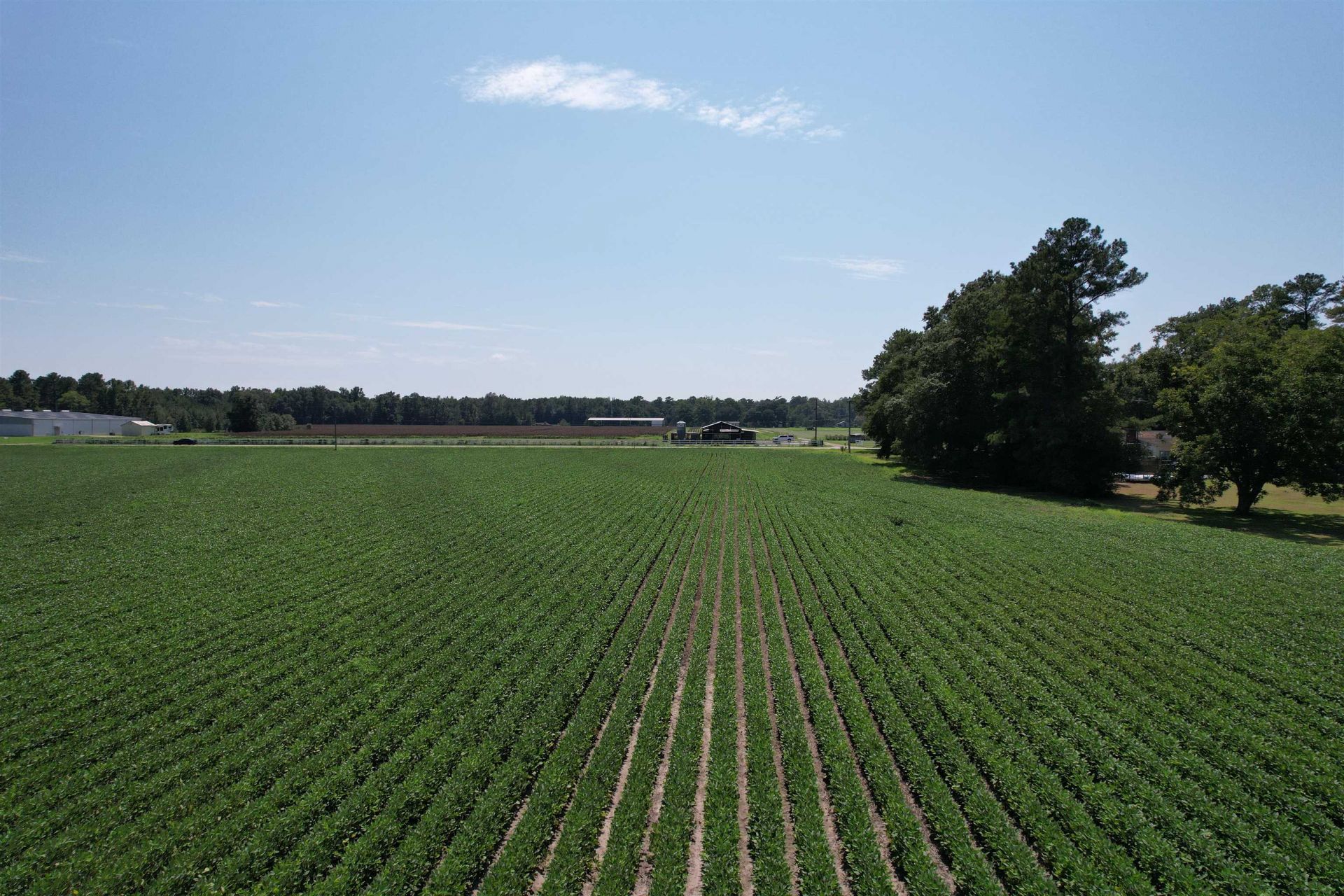 Lot 4 - Sumter Hwy. Photo 3