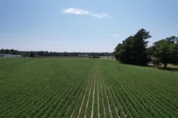 Lot 4 - Sumter Hwy. photo 4