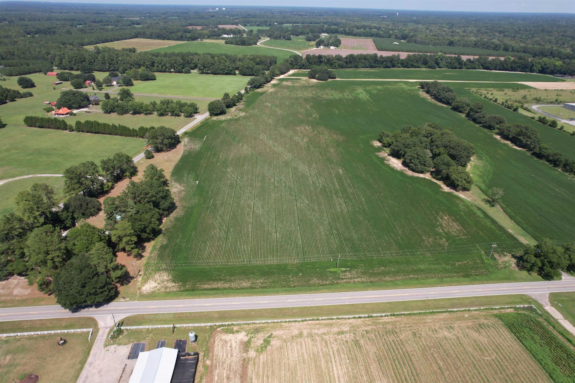 Lot 4 - Sumter Hwy. Photo 4