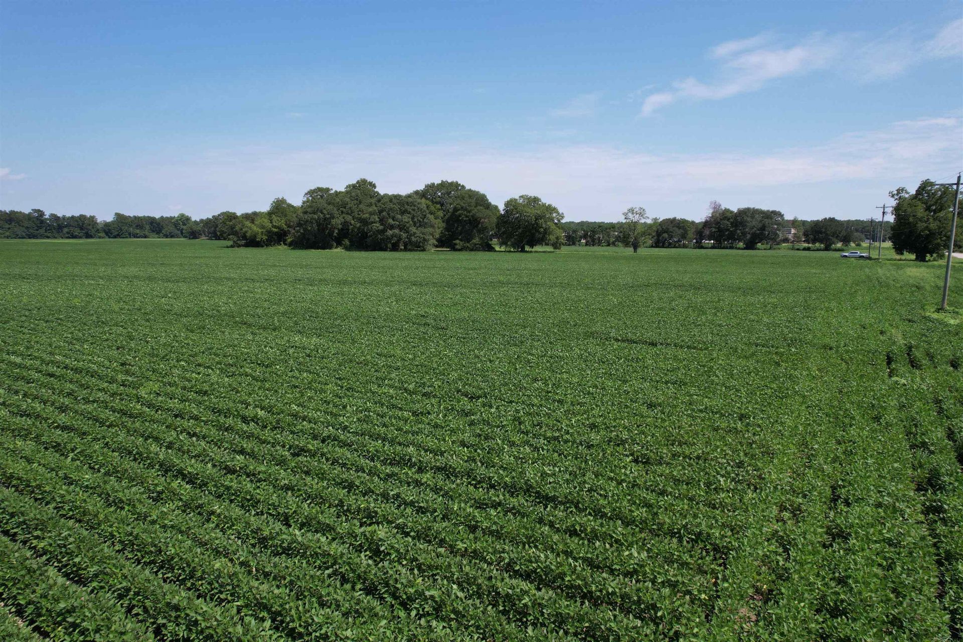Lot 4 - Sumter Hwy. Photo 5