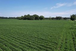 Lot 4 - Sumter Hwy. photo 4
