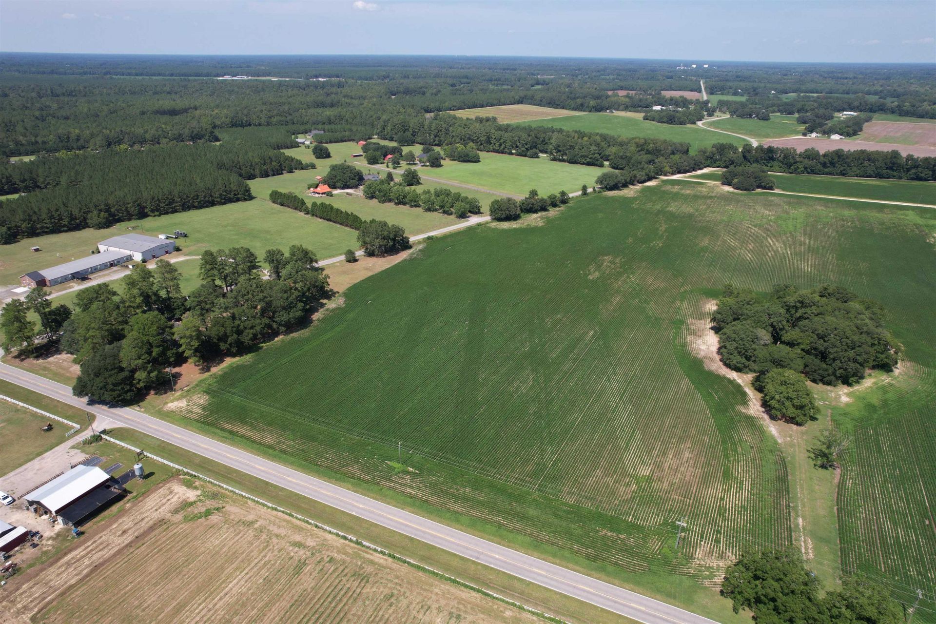 Lot 5 - Buck Strong Rd  Photo 4