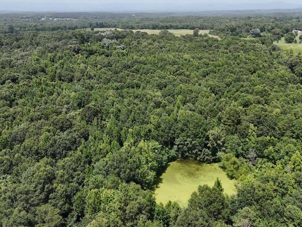 TBD Polk Road 283, Hatfield, AR 71945