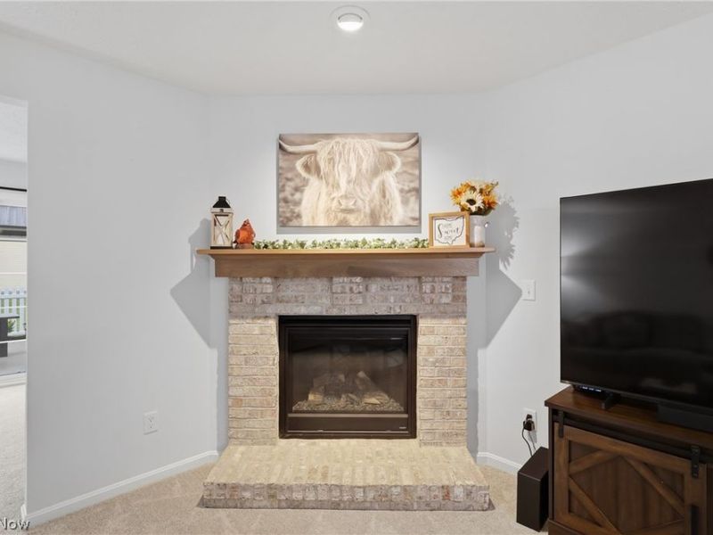119 Prestwyck Lane, Elyria, OH 44035 Photo 18