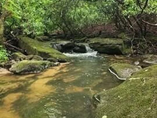 911 Spearhead Circle, Clarkrange, TN 38553