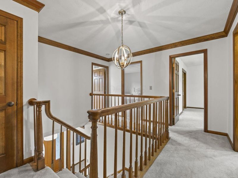 1235 Crooked Tree Court, Westerville, OH 43081 Photo 40
