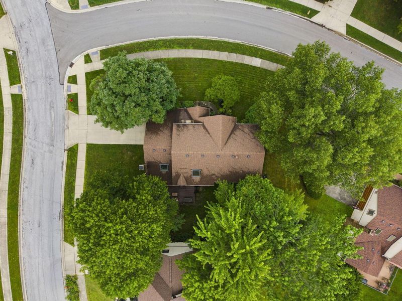 1235 Crooked Tree Court, Westerville, OH 43081 Photo 73