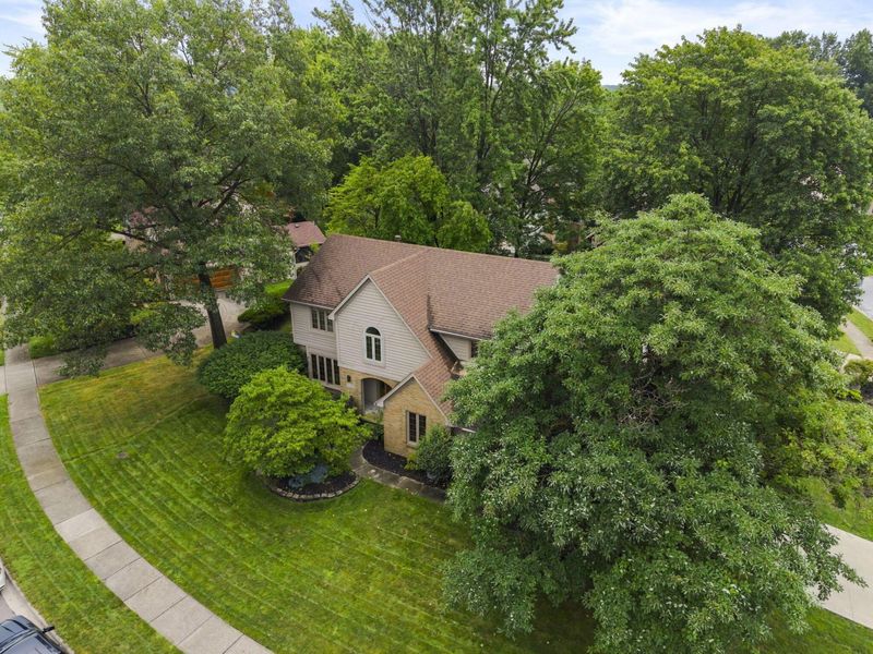 1235 Crooked Tree Court, Westerville, OH 43081 Photo 74