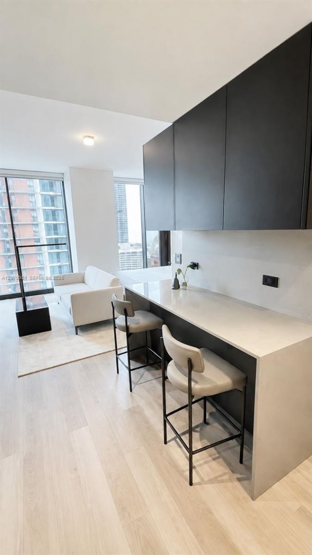 20 NE 11 St, Unit 2407, Miami, FL 33132 Photo