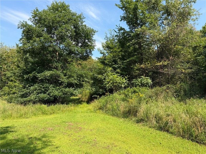 32700 Patterson Road, Bowerston, OH 44695 Photo 10