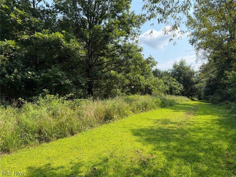 32700 Patterson Road, Bowerston, OH 44695 Photo 11