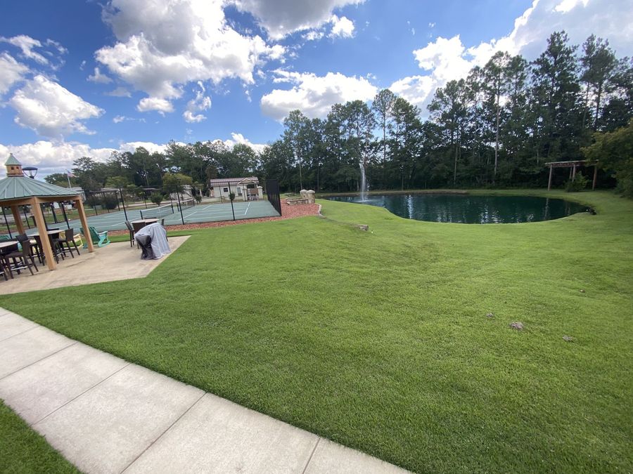 Property Image 58