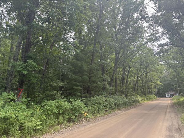 12th Avenue, Bitely, MI 49309