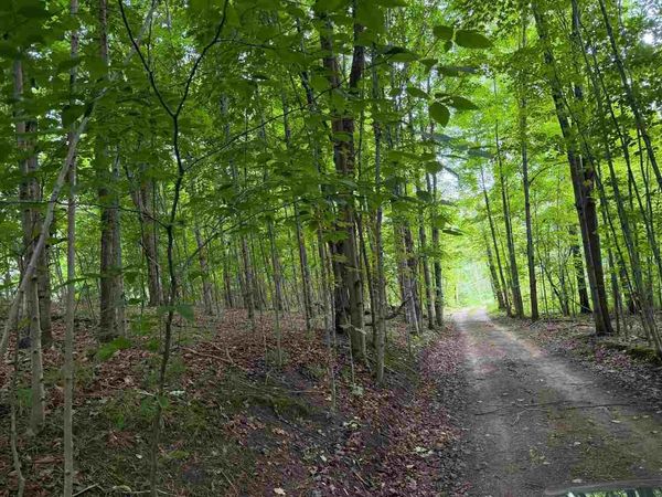 1100 Wangeman Road, East Jordan, MI 49727
