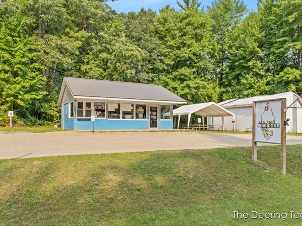 3555 S Elm Avenue, White Cloud, MI 49349