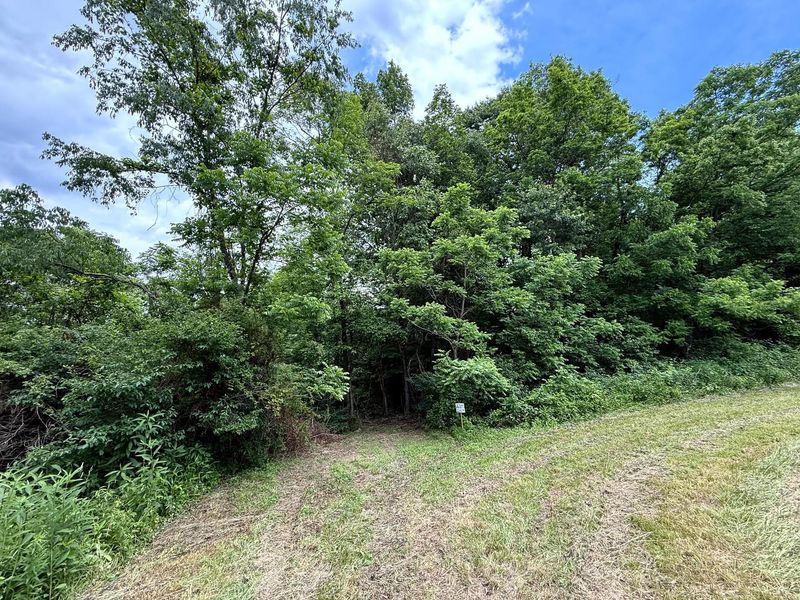 0 Cutlip St, Unit (Tract 8 a, Jackson, OH 45640 Photo 10