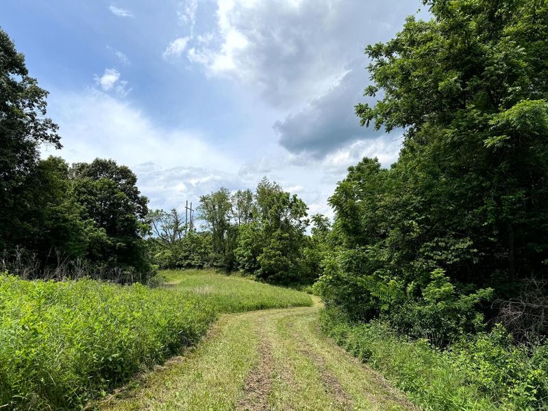 0 Cutlip St, Unit (Tract 8 a, Jackson, OH 45640 Photo 3